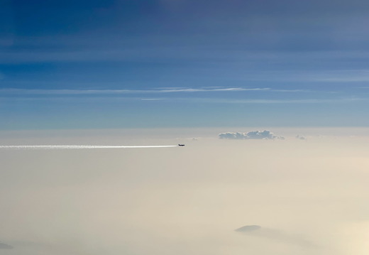 IMG 0942