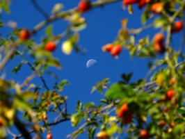 722 IMG 0419 2592x1944