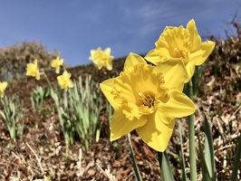 761 IMG 2054 3936x2952