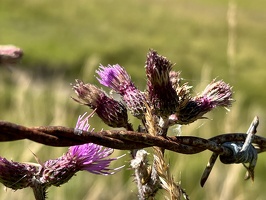 923 IMG 6198 4032x3024