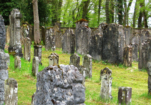 717 IMG 8738 1920x920