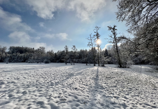 CE1D263C-2B00-44DD-B68B-BF2D86FA17BD