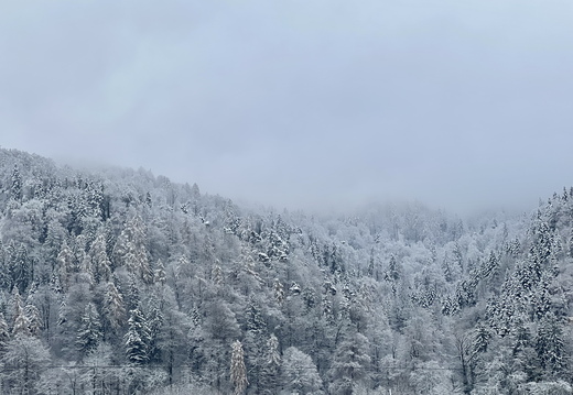 D41A5A86-6BC2-4794-812F-8511442C2438