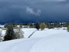 IMG 4377