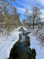 IMG 9938