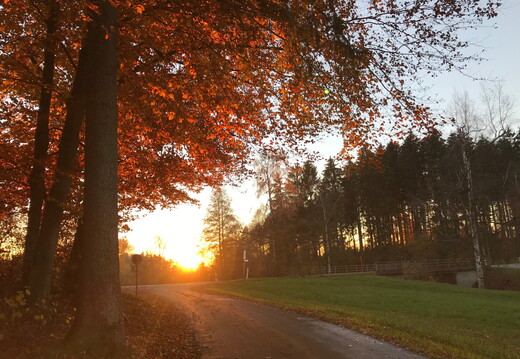 69 IMG 0484 1920x1440