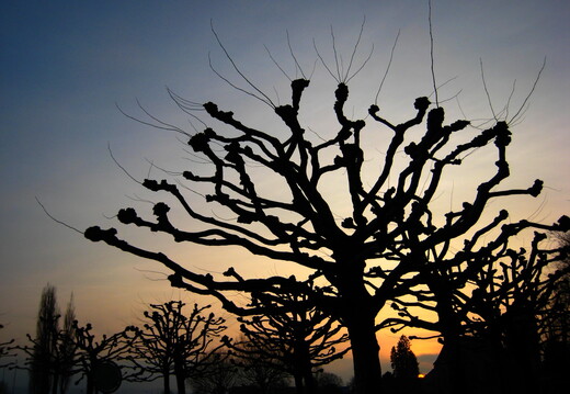 712 IMG 7342 1920x1440