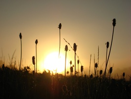 71 IMG 3686 1920x1440