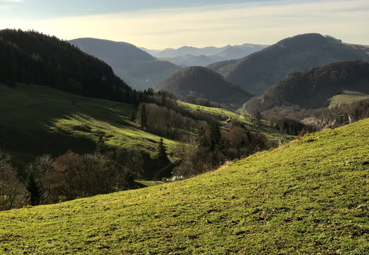 746 IMG 1131 4032x3024