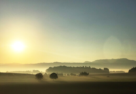 713 Snapseed 1920x1440