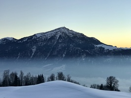 787 IMG 3707 4032x3024