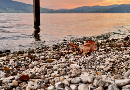 917 IMG 6109 2967x2967