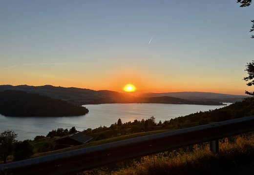 918 IMG 6135 3963x2972