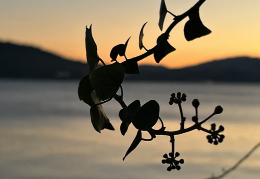 920 IMG 6142 4032x3024