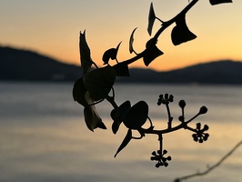 920 IMG 6142 4032x3024