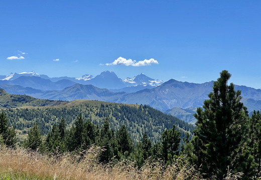 922 IMG 6168 4032x3024