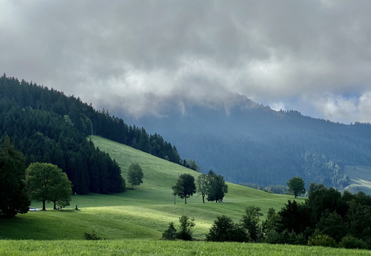 924 IMG 6269 4032x3024