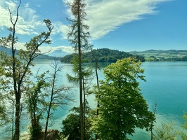 IMG 0733