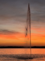 IMG 0902