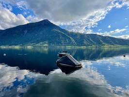 IMG 4848