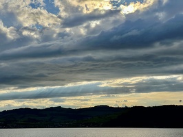 IMG 4854