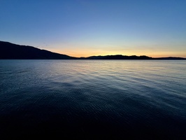 IMG 7542