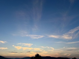 IMG 7686