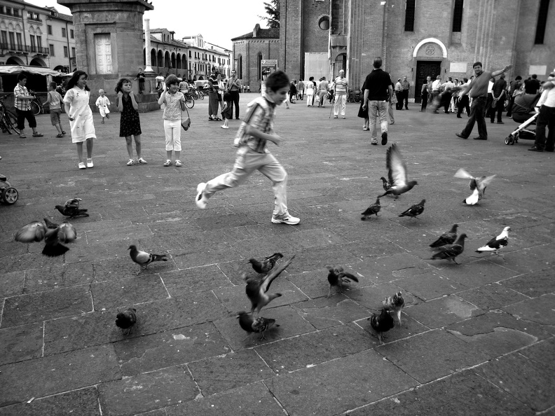 68_Padua_Tauben_BW_1920x1440.jpg
