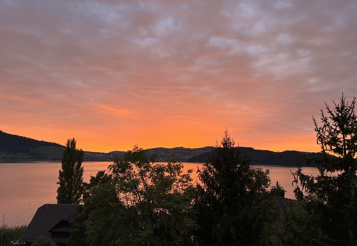 904 IMG 6524 4032x3024