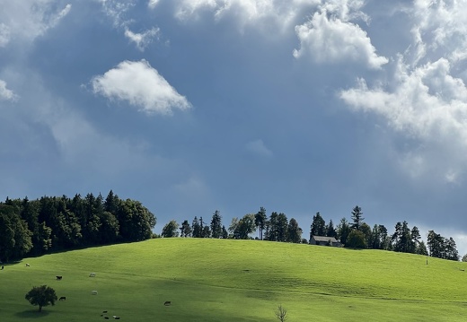 907 IMG 6553 3024x4032