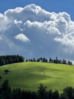 907 IMG 6553 3024x4032