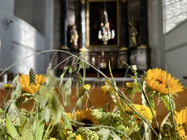 IMG 0487