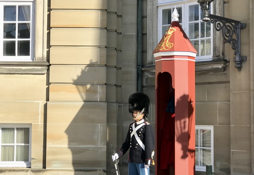 807 IMG 4564 3024x4032