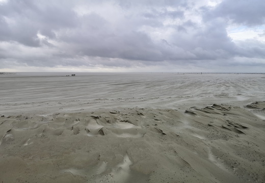 730 IMG 0841 3648x2736