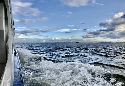 734 IMG 0892 3807x2856