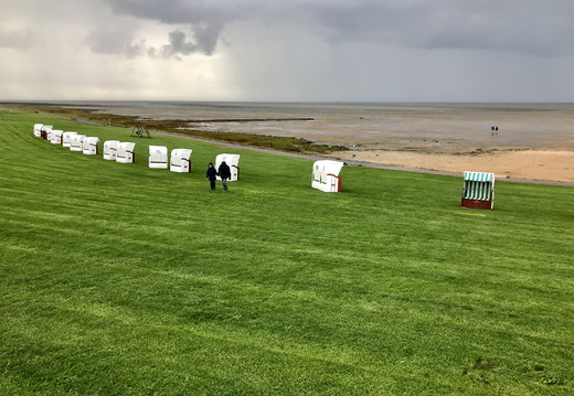 736 IMG 0938 3897x2923