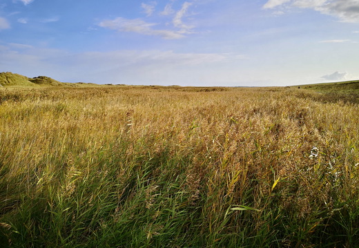 739 IMG 0965 3648x2736