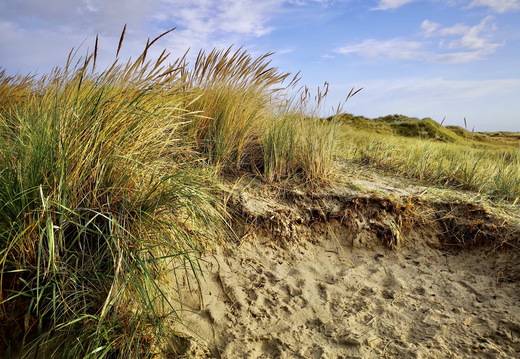 740 IMG 0968 3648x2736