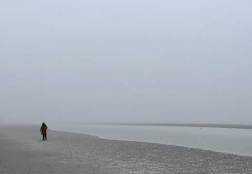 2023032715403503--406752694154532811