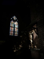 IMG 8517