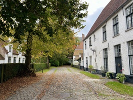 IMG 8569