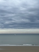 IMG 8605