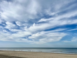 IMG 8875