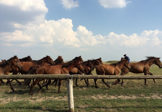 543 IMG 1918 1920x1440