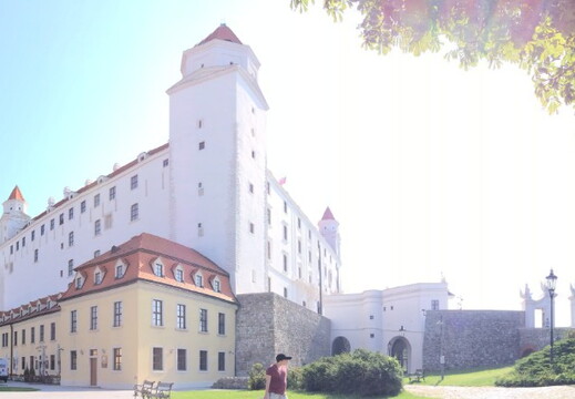 547 IMG 1981 1920x426