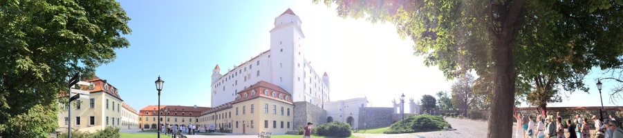 547 IMG 1981 1920x426
