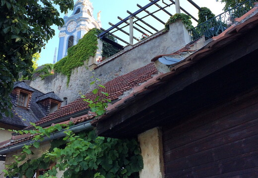 550 IMG 2086 1920x1920