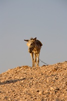 178 IMG 3553 1280x1920