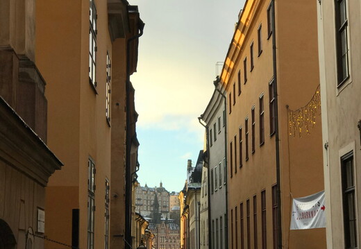 393 IMG 0662 1440x1920