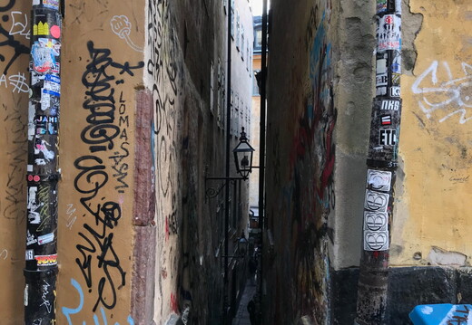 395 IMG 0664 1440x1920